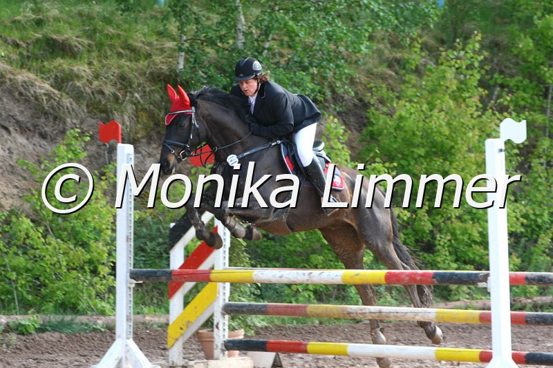 104M7470_Spring A.JPG